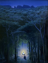 Meditation In The Forest