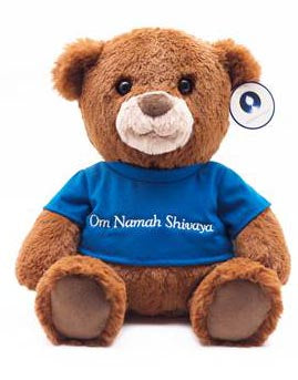 Siddha Yoga Mantra Bear