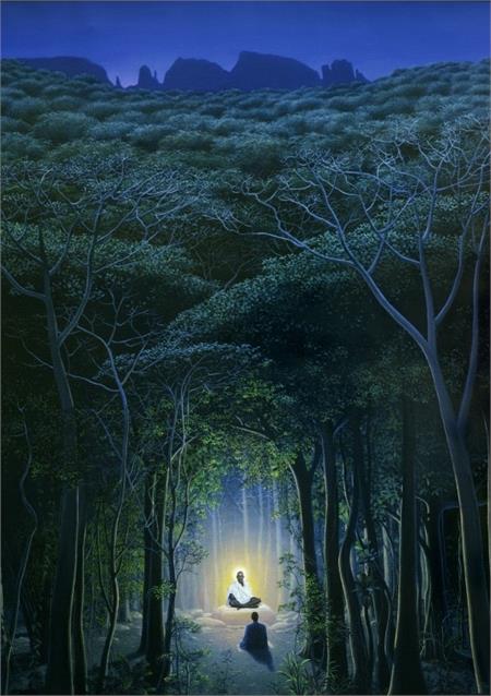 Meditation In The Forest