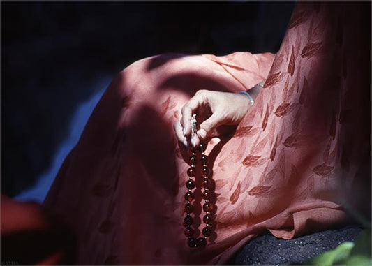 PHOTO Gurumayi - 940 Series